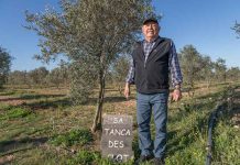Aceite de oliva de calidad en Formentera