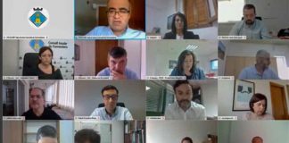 El ple del Consell dona suport a les mesures econòmiques, socials i turístiques preses per fer front a la crisi sanitària