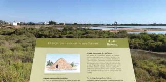 Formentera cuenta con una nueva ruta ornitológica en el camí des Brolls