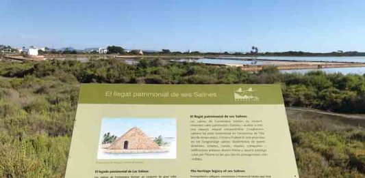 Formentera cuenta con una nueva ruta ornitológica en el camí des Brolls