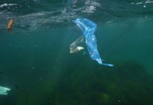 La Agencia Balear del Agua pone en marcha un nuevo modelo de Servicio de limpieza del litoral con el objetivo de quitar plásticos del mar