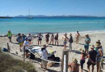 400 kilos de residuos recogidos por tierra y por mar en Illetes
