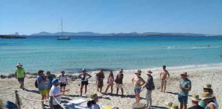 400 kilos de residuos recogidos por tierra y por mar en Illetes