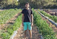Productos de la tierra con sello ecológico