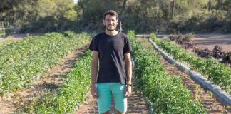 Productos de la tierra con sello ecológico