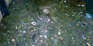Oceana propone prohibiciones para los plásticos más dañinos para el medio marino