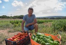 Tradición e innovación en Ses Clotades Rural