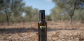 Visita guiada a Ca na Platera para conocer los secretos del aceite de oliva