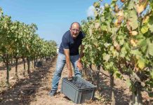 Bodega Cap de Barbaria, calidad reconocida
