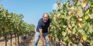 Bodega Cap de Barbaria, calidad reconocida