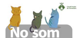 Vuelve la campaña «No som fems, som gats» contra el abandono de felinos
