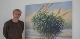 Los árboles y la luz de Formentera como protagonistas en la exposición de Robert Hawkins