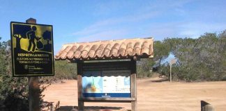 Unas 70 personas informarán sobre las medidas sanitarias Covid-19 en áreas recreativas y espacios naturales protegidos de Baleares