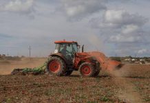 Formentera refuerza las ayudas al sector primario de la isla