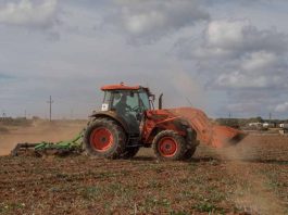 Formentera refuerza las ayudas al sector primario de la isla