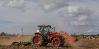 El Govern abona casi dos millones de euros al sector primario de las Islas Baleares para el fomento de la agricultura ecológica, la producción integrada, las razas autóctonas y las aguas regeneradas