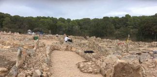 El Consell estudia la musealización del yacimiento Cap de Barbaria II