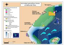 Alianza Mar Blava recurrirá el fallo del Supremo que avala prórrogas de explotaciones petrolíferas en zonas protegidas sin evaluación de impacto ambiental