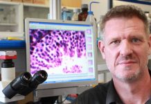 El experto en neurociencia David Bueno, protagonista del ciclo ‘Xerrades per a famílies’ de este jueves