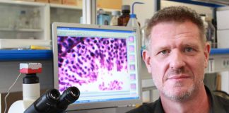 El experto en neurociencia David Bueno, protagonista del ciclo ‘Xerrades per a famílies’ de este jueves