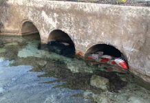 El Consell controla los niveles de entrada y salida de agua en el Estany Pudent