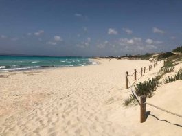 Baleares refuerza el frente autonómico para exigir coordinación, recursos y voz propia en la reforma estatal de Costas