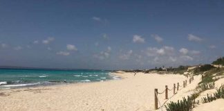 Detectadas 168 infracciones en las autorizaciones de playa