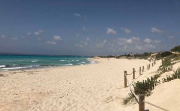 La Cámara de Comercio de Ibiza y Formentera presenta alegaciones a la reforma del Reglamento de Costas incluida en el proyecto sobre riesgos de inundación