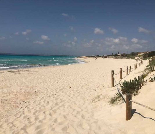 La Cámara de Comercio de Ibiza y Formentera presenta alegaciones a la reforma del Reglamento de Costas incluida en el proyecto sobre riesgos de inundación