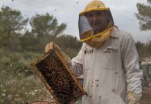 Apicultura, un apasionante legado familiar