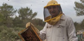 Apicultura, un apasionante legado familiar