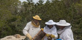 Cuatro cursos gratuitos de formación agraria