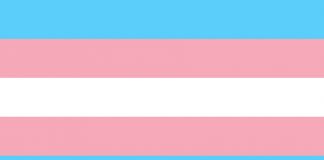 Teatro, debates y documentales con motivo del Día Internacional de la Despatologización Trans*