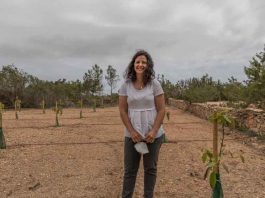 Aguacates de Formentera