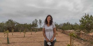 Aguacates de Formentera