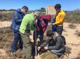 El Consell convoca la beca de investigación de este año dotada con 8.500 euros