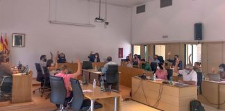 La protección del territorio, la vivienda y el fomento de energías fotovoltaicas, entre las principales propuestas aprobadas en el debate del estado de Formentera