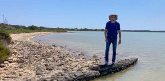 Las medidas de control del nivel del agua en s’Estany Pudent y las Salinas de Formentera dan buenos resultados