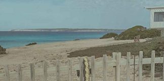 La Ong Ocean Keepers comienza la limpieza del litoral de Formentera con la colaboración del Consell