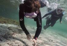 Cerca de 350 kilos de residuos recogidos durante las actividades de la Semana del Medio Ambiente