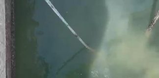 Se produce un vertido de aguas residuales en el puerto de la Savina
