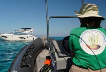El Servicio de vigilancia de posidonia colabora en proyectos de ciencia ciudadana marina con Observadores del Mar