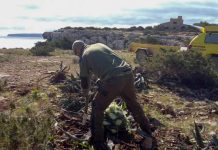 La modificación de la LECO obligará a los infractores a restaurar el medio natural sin posibilidad de prescripción