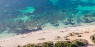 Vuelve el Formentera Zen, una propuesta de bienestar y desconexión para el otoño en la isla