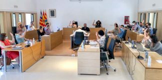 Unanimidad plenaria para instar a reducir las frecuencias marítimas y la reordenación del puerto de la Savina
