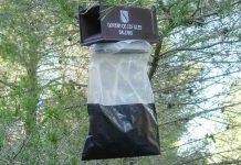 200 trampas para la captura de mariposas de la procesionaria del pino