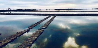 IX edición del Formentera Fotográfica para reflexionar sobre el mundo de la imagen