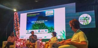 El IV Foro Save Posidonia trabaja sobre avanzar en medidas de protección y conservación marina