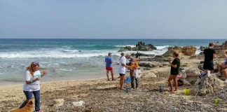 La limpieza de cala en Baster y es Carnatge se salda con la recogida de 300 kilos de residuos