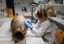 El MAEF y el Consell de Formentera exponen las ánforas romanas recuperadas al sur del Cap de Barbaria